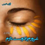 دانلود رمان غرورم را دوست دارم pdf از نازیلا_ع