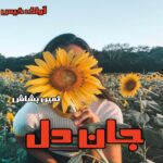 دانلود رمان جان دل pdf از ثمین بشاش