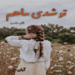 دانلود رمان تو شدی ماهم pdf از فائزه_مقصود