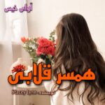 دانلود رمان همسر قلابی (عشق دیوانه وار) pdf از  Stacey Lynn