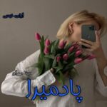 دانلود رمان پادمیرا pdf از مبینا مهرآور