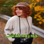 دانلود رمان چه زود گذشت pdf از فاطمه رنجبر