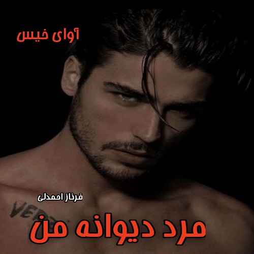 دانلود رمان مرد دیوانه من pdf از فرناز احمدلی