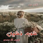 دانلود رمان شب نشین pdf از فرنوش گل محمدی