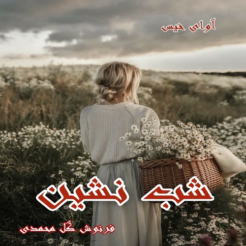 شب نشین