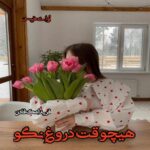 دانلود رمان هیچوقت دروغ نگو pdf از فریدا مک فادن