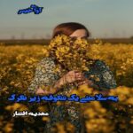 دانلود رمان به سلامتی یک شکوفه زیر تگرگ pdf از مهدیه افشار