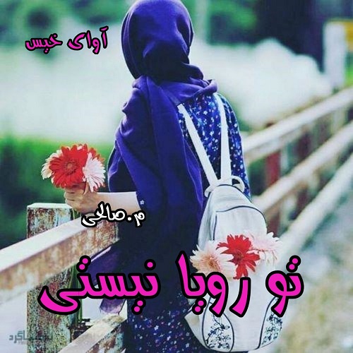 دانلود رمان تو رویا نیستی pdf از م.صالحی