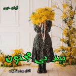 دانلود رمان بید بی مجنون pdf از الناز بوذرجمهری