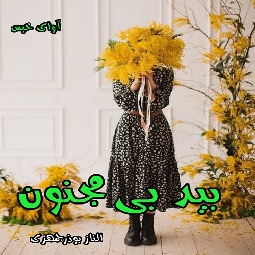 دانلود رمان بید بی مجنون pdf از الناز بوذرجمهری