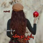 دانلود رمان بانوی دورگه pdf از دل آرام فاضل
