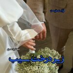 دانلود رمان زیر درخت سیب pdf از مهشید حسنی