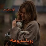 دانلود رمان رویای روهام pdf از ساره