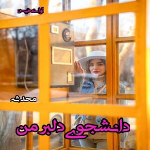 دانلود رمان دانشجوی دلبر من pdf از محدثه
