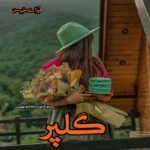 دانلود رمان گلپر pdf از نوشین سلمانوندی