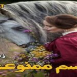 دانلود رمان رسم ممنوعه pdf از زهرا