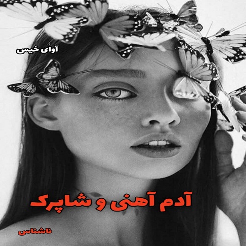 آدم آهنی و شاپرک 