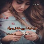 دانلود رمان آن درخت بی شاخ و برگ pdf از زهرا عبدی (دلربا) دانلود رمان آن درخت بی شاخ و برگ pdf از زهرا عبدی (دلربا)