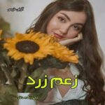 دانلود رمان زعم زرد pdf از زهرا زنده دلان دانلود رمان زعم زرد pdf از زهرا زنده دلان