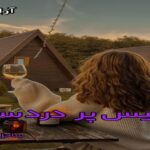 دانلود رمان رئیس پر دردسر pdf از ساحل