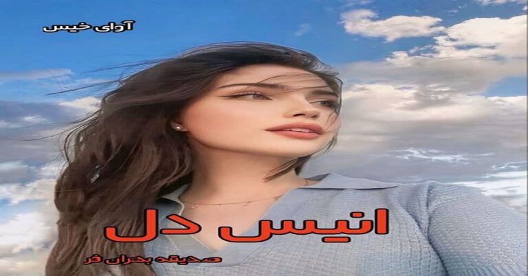 انیس دل