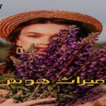 دانلود رمان میراث هوس pdf از مهین عبدی