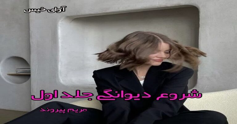 شروع دیوانگی جلد اول