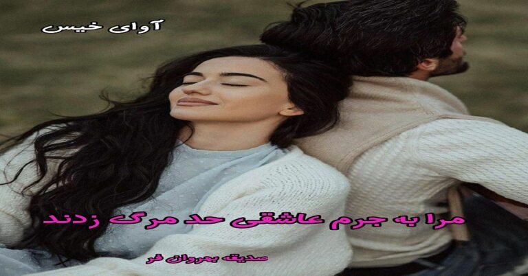 مرا به جرم عاشقی حد مرگ زدند