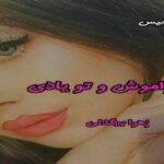 دانلود رمان تو فراموش و تو یادی pdf از زهرا بیگدلی