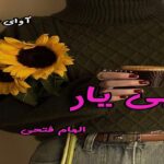 دانلود رمان پی یار pdf از الهام فتحی