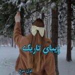 دانلود رمان زیبای تاریک pdf از غزل سرخ