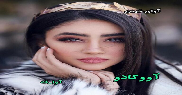 آووکادو