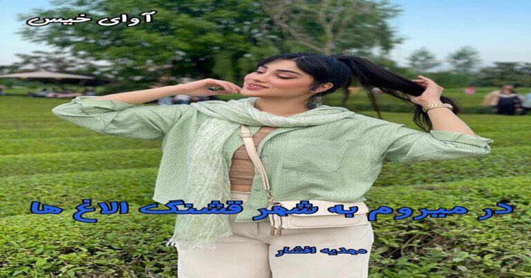 در میروم به شهر قشنگ الاغ ها