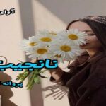 دانلود رمان نانجیب pdf از پروانه قدیمی