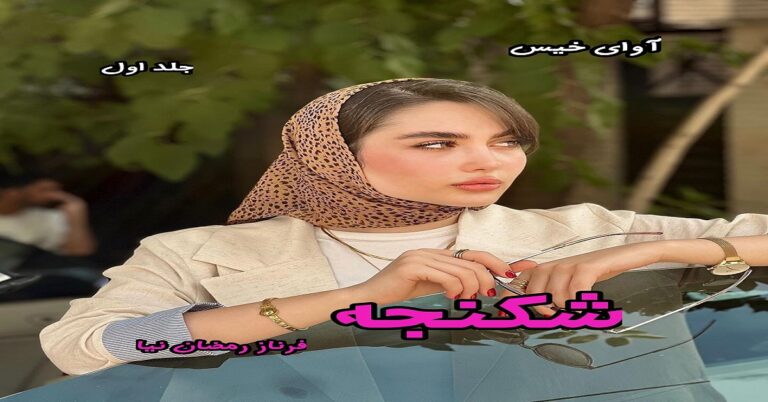 شکنجه (دو جلد)