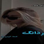 دانلود رمان دردانگ pdf از اسماء کرمی پور