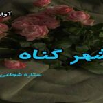 دانلود رمان شهر گناه pdf از ستاره شجاعی مهر