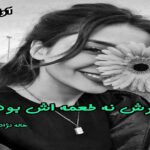 دانلود رمان دخترش نه طعمه اش بودم pdf از هاله نژادصاحبی 