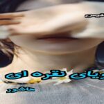 دانلود رمان رویای نقره ای pdf از هاشور