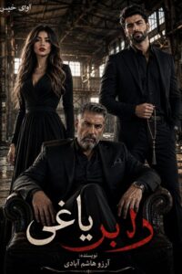 دانلود رمان دلبر یاغی pdf از آرزو هاشم آبادی
