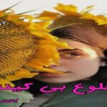 دانلود رمان طلوع بی کینه pdf از آفتاب صالحی