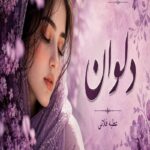 دانلود رمان دلوان pdf از عطیه قناتی