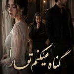 دانلود رمان گناه میکنم تو را pdf از شیدا زارعی نسخه کامل بدون سانسور