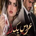 دانلود رمان عروس یک راز pdf از مهدخت مرادی